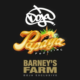 BF2009510 - BARNEY'S FARM - PAPAYA FROSTING FEM | 10 SAMEN