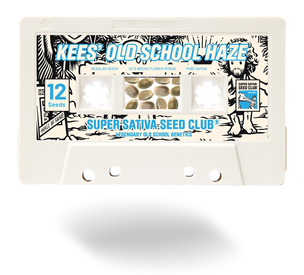 SSSC011201 - SUPER SATIVA SEED CLUB - KEES' OLD SCHOOL HAZE REG | 12 SAMEN