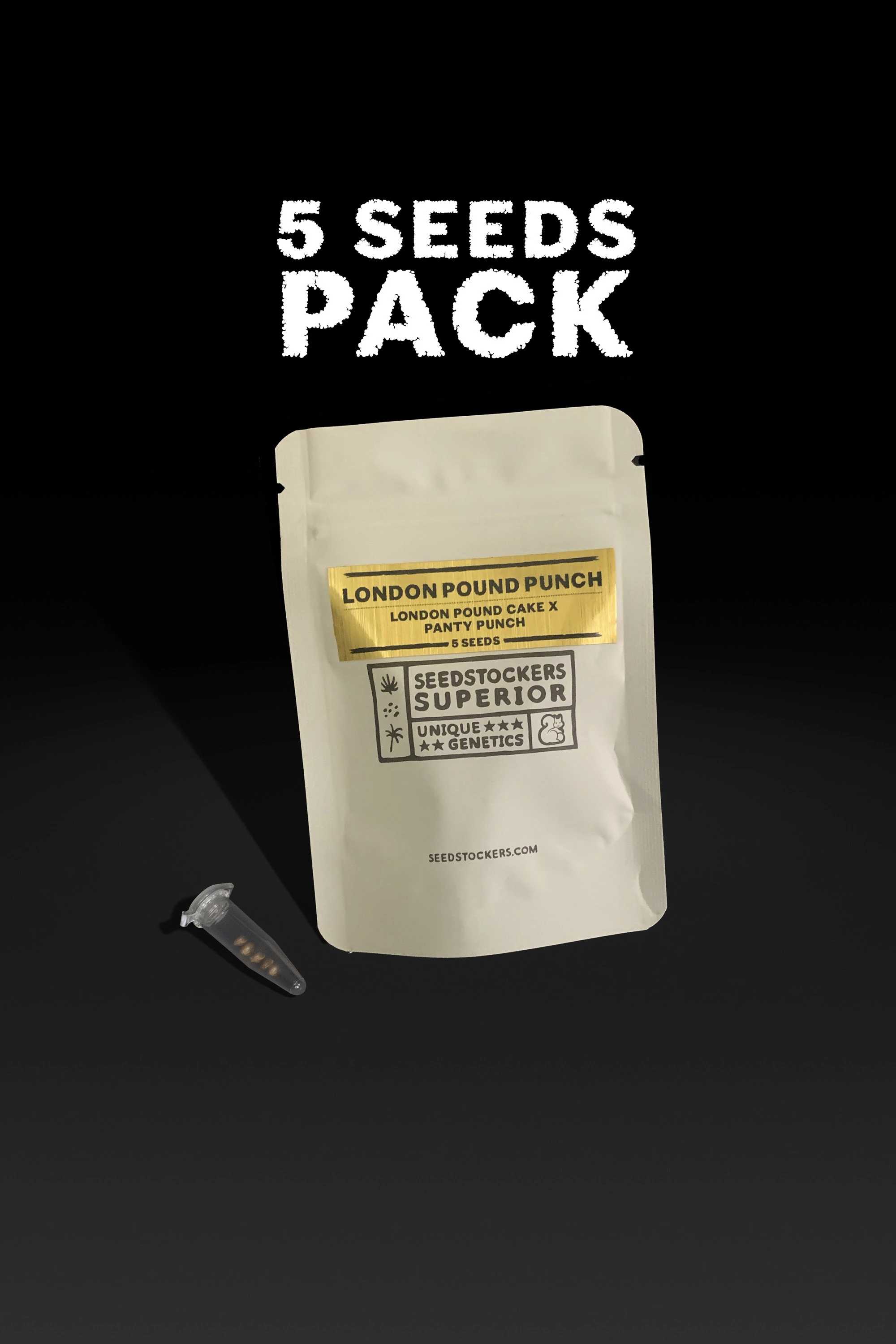 SSTKHF0005073 - SEEDSTOCKERS - TANGY FRITTER FEM | 5 SAMEN