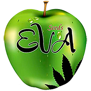 SEV4069 - EVA SEEDS - NEXUS FEM | 6 SAMEN