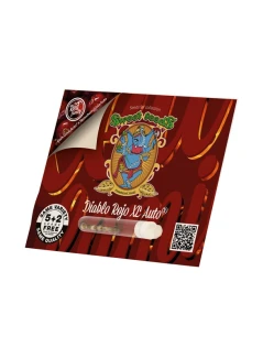 SWEET SEEDS - DIABLO ROJO XL AUTO® FEM (SWS110) | 25 SEEDS