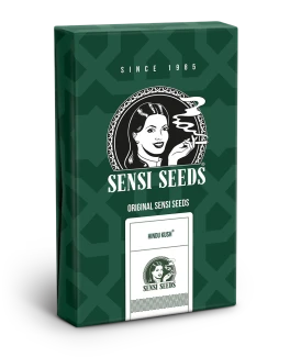 SENSI SEEDS BANK - HINDU KUSH REG | 10 SEEDS
