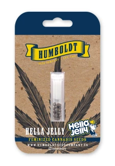 HUMBOLDT SEEDS COMPANY - HELLA JELLY FEM | 3 SEEDS