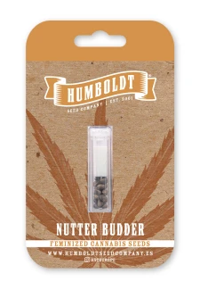 HUMBOLDT SEEDS COMPANY - NUTTER BUDDER FEM | 3 SEEDS