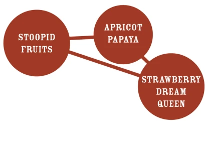 HUMBOLDT SEEDS COMPANY - SLIGHTLY STOOPID FRUITS FEM | 10 SEEDS