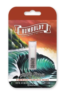 HUMBOLDT SEEDS COMPANY - SLIGHTLY STOOPID FRUITS FEM | 10 SEEDS