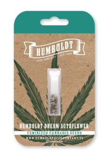 HUMBOLDT SEEDS COMPANY - HUMBOLDT DREAM AUTO | 10 SEEDS