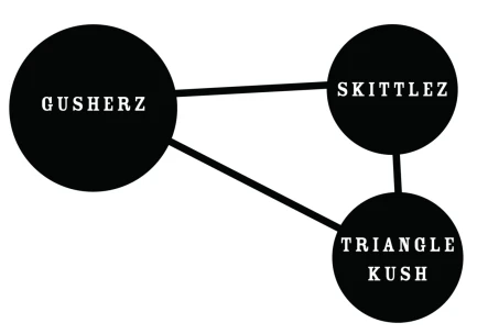 HUMBOLDT SEEDS COMPANY - GUZZLERZ FEM | 3 SEEDS