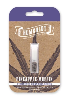 HUMBOLDT SEEDS COMPANY - PINEAPPLE MUFFIN FEM | 10 SEEDS