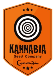 SKFF050016 - B.LEE AUTO 5 SEEDS FEMM KANNABIA SEED COMPANY