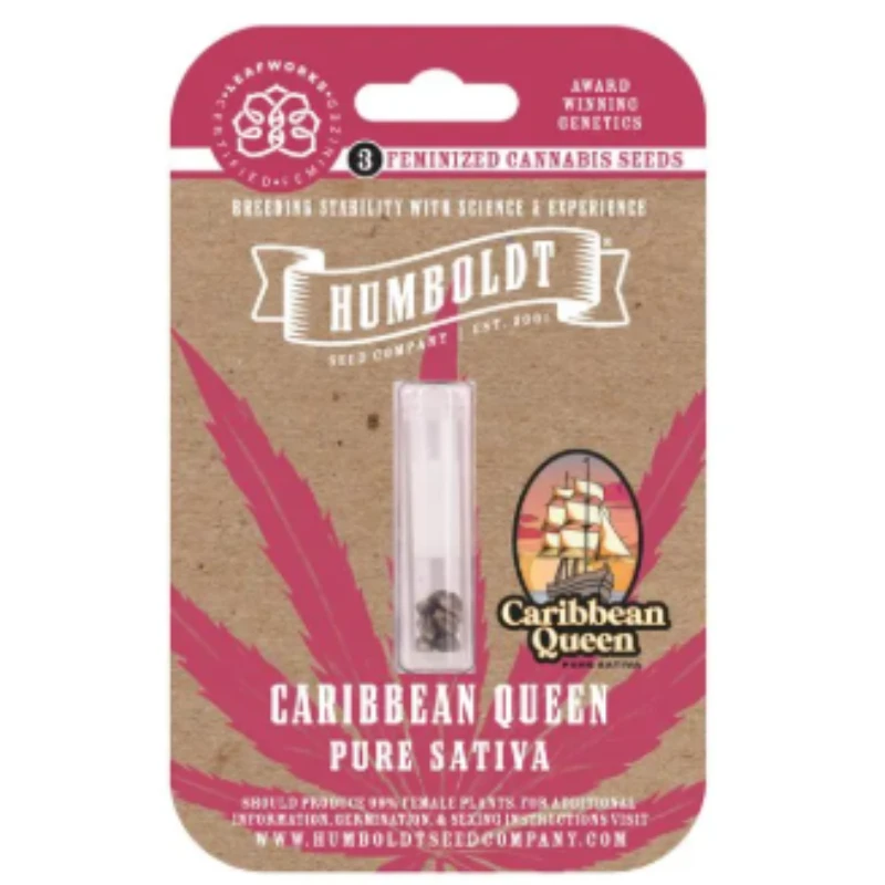 HSCCQ-3-F - HUMBOLDT SEEDS COMPANY - CARIBBEAN QUEEN FEM | 3 SEEDS