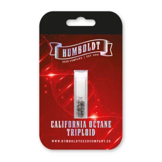 HSCCOTRP-3-F - HUMBOLDT SEEDS COMPANY - CALIFORNIA OCTANE TRIPLOID FEM | 3 SEEDS
