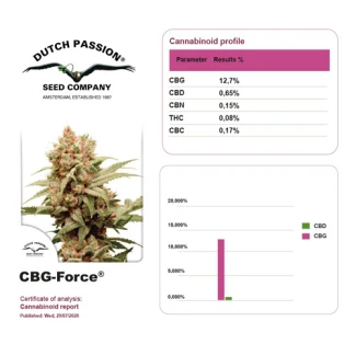 DUTCH PASSION - CBG-FORCE FEM | 100 SEEDS