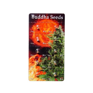 BUDDHA SEEDS - VESTA AUTO FEM | BLISTER 1x10 SEEDS