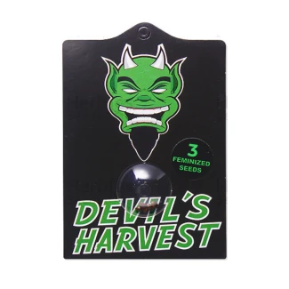 DEVIL'S HARVEST - FALLEN ANGEL FEM | 3 SEEDS