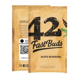 FAST BUDS - ORIGINAL RUSSIAN AUTO | 10 SEEDS