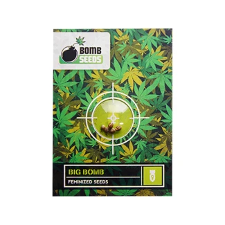BOMB SEEDS - BIG BOMB FEM | 5 SEEDS