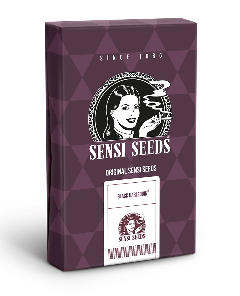 SS1560329 - SENSI SEEDS BANK - BLACK HARLEQUIN FEM | 3 SEEDS Available while stocks last