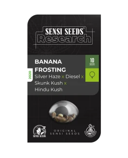 SENSI SEEDS RESEARCH - BANANA FROSTING FEM | 3 SEEDS