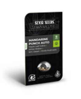 SENSI SEEDS RESEARCH - MANDARINE PUNCH AUTO FEM | 1 SEED