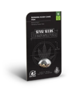 SENSI SEEDS RESEARCH - BANANA KUSH CAKE FEM | 3 SEEDS FEMM