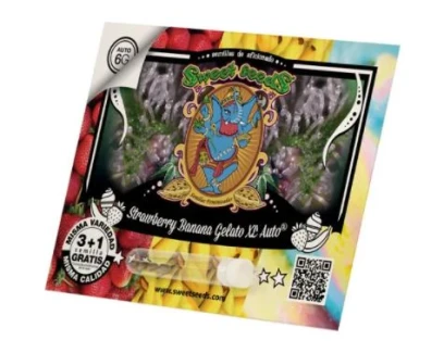 SWEET SEEDS - STRAWBERRY BANANA GELATO XL AUTO® FEM (SWS99) | 100 SEEDS