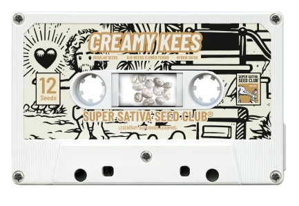 SUPER SATIVA SEED CLUB - CREAMY KEES REG | 12 SEEDS