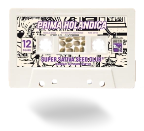 SSSC031201 - SUPER SATIVA SEED CLUB - PRIMA HOLANDICA REG | 12 SEEDS