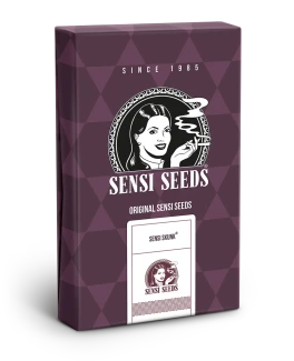 SENSI SEEDS BANK - SENSI SKUNK FEM | 25 SEEDS