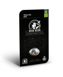 SENSI SEEDS RESEARCH - TEZLA OG FEM | 5 SEEDS