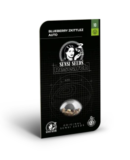 SENSI SEEDS RESEARCH - BLUE BERRY SKITTLEZ AUTO FEM | 5 SEEDS