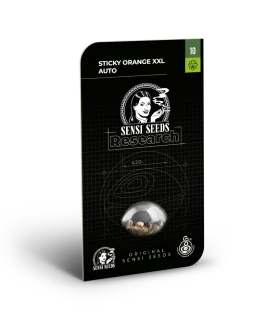 SENSI SEEDS RESEARCH - STICKY ORANGE XXL AUTO FEM | 3 SEEDS
