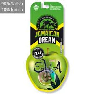 EVA SEEDS - JAMAICAN DREAM FEM | 9+3 Free SEEDS