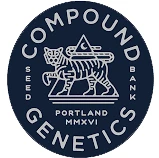 CPG005F009 - COMPOUND GENETICS - PERMAFUNK FEM | 5 SEEDS