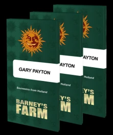 BF2007203 - BARNEY'S FARM - GARY PAYTON FEM | 3 SEEDS