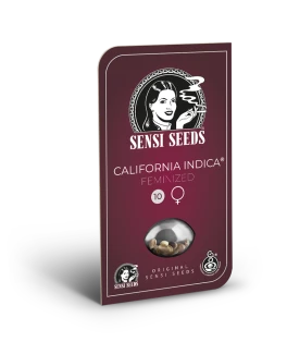 SENSI SEEDS BANK - CALIFORNIA INDICA FEM | 3 SEEDS