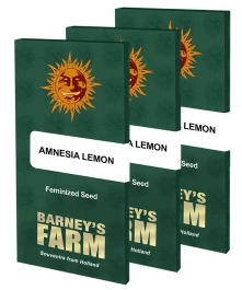 BFAL10 - BARNEY'S FARM - AMNESIA LEMON FEM | 10 SEMILLAS
