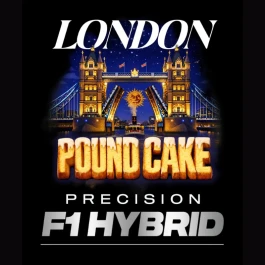 BF2011505 - BARNEY'S FARM - LONDON POUND CAKE FEM (PRECISION F1 HYBRID) | 5 SEMILLAS