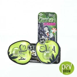 SEVF030006 - SEMILLAS DE EVA - GORILLA CANDY FEM | 3+1 SEMILLAS GRATIS