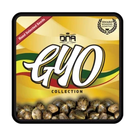 GYOFEM3002 - CULTIVA TU PROPIA - EL FUEGO FEM | 3 SEMILLAS