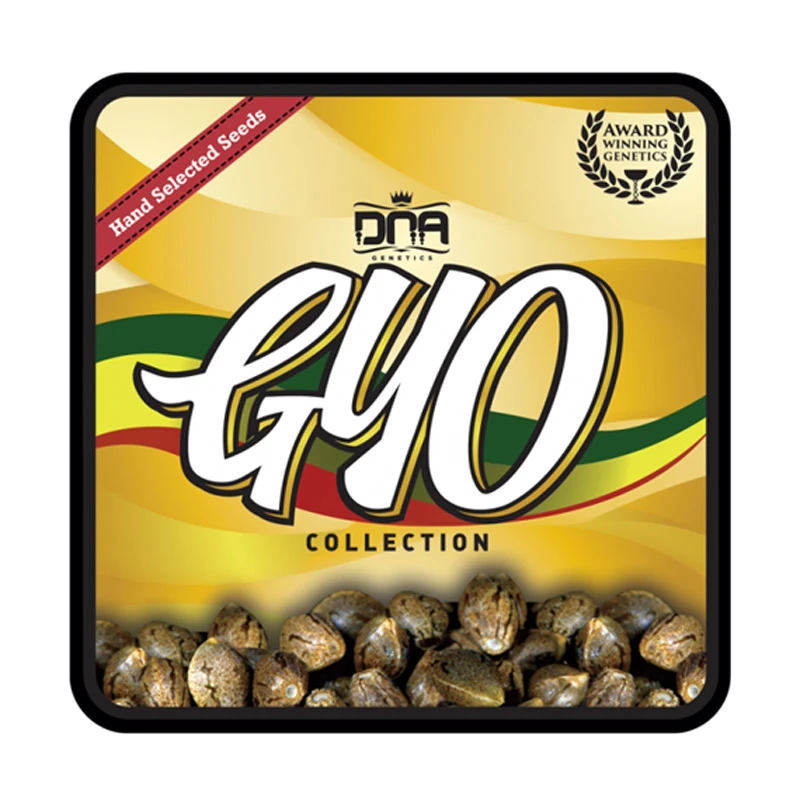 GYOFEM6006 - CULTIVA TU PROPIA - LEMON WALKER FEM | 6 SEMILLAS