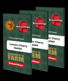 BF2007410 - BARNEY'S FARM - LEMON CHERRY ICE CREAM FEM | 10 GRAINES