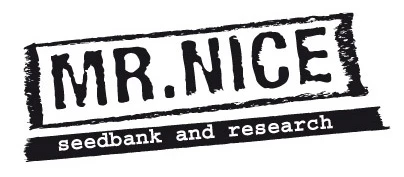 SMNN0018 - LA NIÑA 15 GRAINES RÉGULIÈRES MR NICE