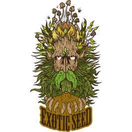 EXSF00903 - EXOTIC SEED - SPICY BITCH FEM | 3 GRAINES