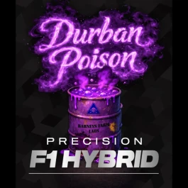BF2011403 - BARNEY'S FARM - DURBAN POISON FEM (PRECISION F1 HYBRID) | 3 GRAINES