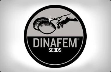 DF3184 - EARLY AMNESIA CBD 5 SEEDS FEMM DINAFEM
