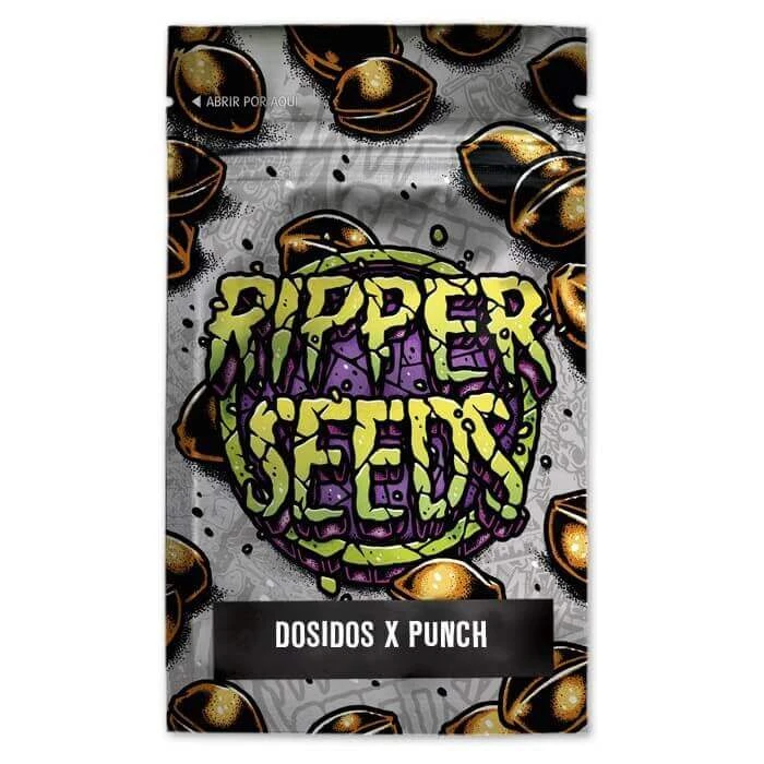 RSDSDPPF03F9024 - RIPPER SEEDS - DO-SI-DOS x PURPLE PUNCH FEM | 3 SEMENCES