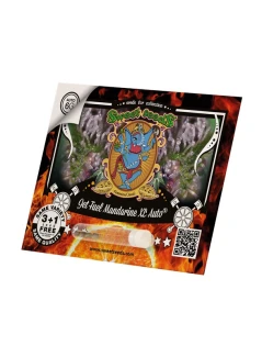 SWEET SEEDS - JET FUEL MANDARINE XL AUTO® FEM (SWS109) | 3+1 SEMI