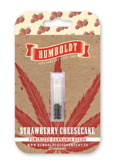 HUMBOLDT SEEDS COMPANY - STRAWBERRY CHEESECAKE FEM | 5 SEMI