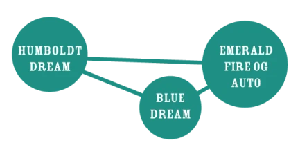 HUMBOLDT SEEDS COMPANY - HUMBOLDT DREAM AUTO | 10 SEMI